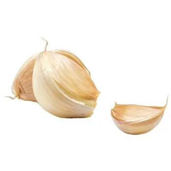 Fresh Garlic 